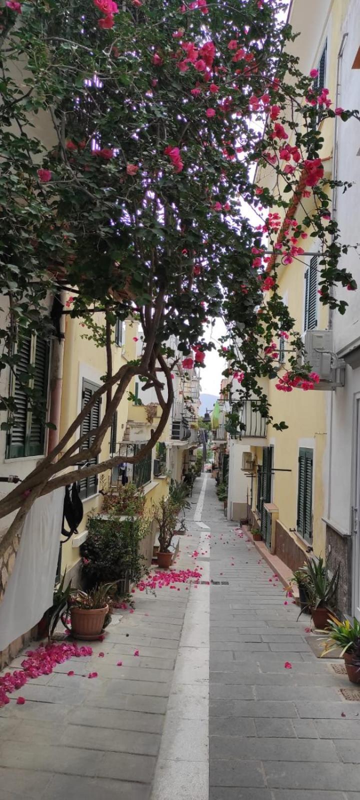 La Casa Rosa Di Giulia Villa Иския Екстериор снимка